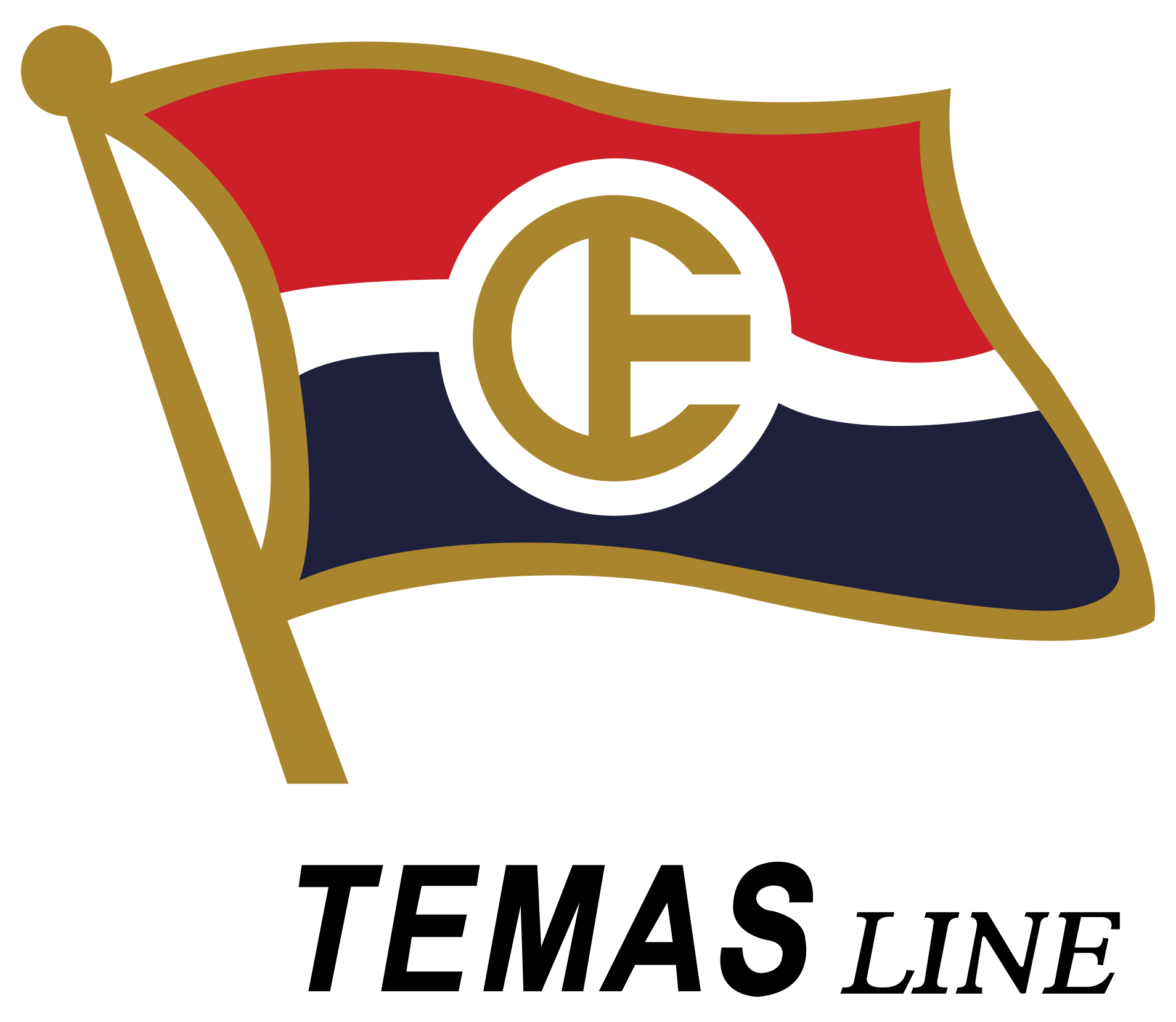 LOGO TEMAS